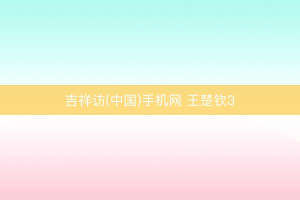 吉祥访(中国)手机网 王楚钦3