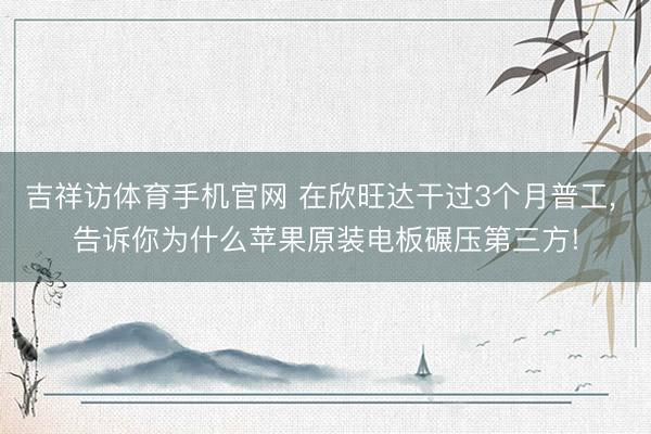 吉祥访体育手机官网 在欣旺达干过3个月普工, 告诉你为什么苹果原装电板碾压第三方!
