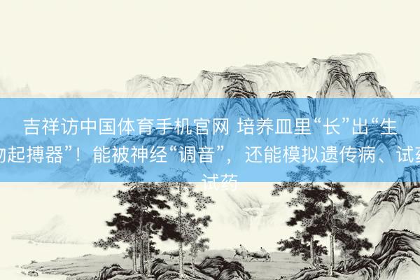 吉祥访中国体育手机官网 培养皿里“长”出“生物起搏器”！能被神经“调音”，还能模拟遗传病、试药