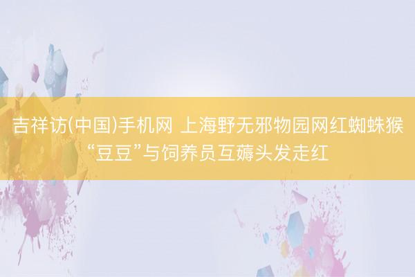 吉祥访(中国)手机网 上海野无邪物园网红蜘蛛猴“豆豆”与饲养员互薅头发走红