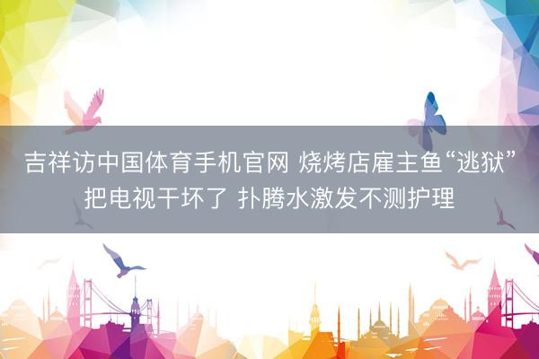 吉祥访中国体育手机官网 烧烤店雇主鱼“逃狱”把电视干坏了 扑腾水激发不测护理