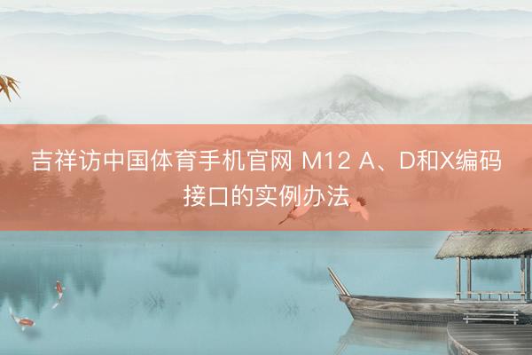 吉祥访中国体育手机官网 M12 A、D和X编码接口的实例办法