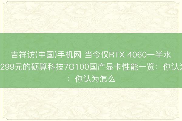 吉祥访(中国)手机网 当今仅RTX 4060一半水平！3299元的砺算科技7G100国产显卡性能一览：你认为怎么