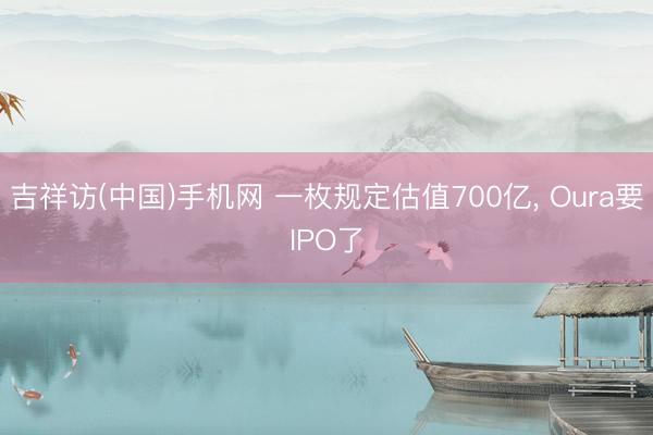 吉祥访(中国)手机网 一枚规定估值700亿， Oura要IPO了