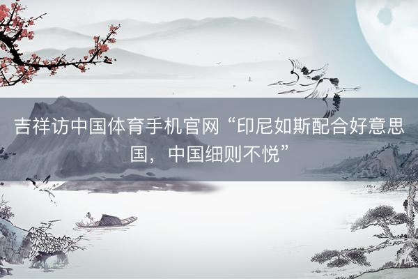吉祥访中国体育手机官网 “印尼如斯配合好意思国，中国细则不悦”