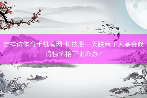 吉祥访体育手机官网 科技股一天跌麻了大基金倏得惊怖接下来咋办?