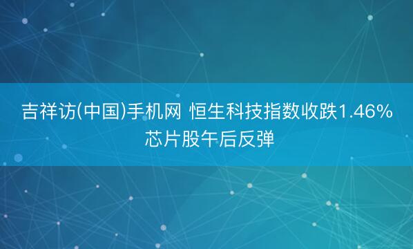 吉祥访(中国)手机网 恒生科技指数收跌1.46% 芯片股午后反弹
