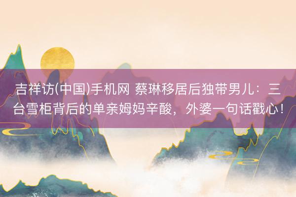 吉祥访(中国)手机网 蔡琳移居后独带男儿:三台雪柜背后的单亲姆妈辛酸,外婆一句话戳心!
