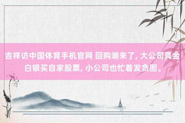 吉祥访中国体育手机官网 回购潮来了， 大公司真金白银买自家股票， 小公司也忙着发贪图。