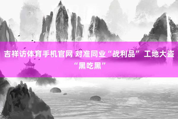 吉祥访体育手机官网 对准同业“战利品” 工地大盗“黑吃黑”