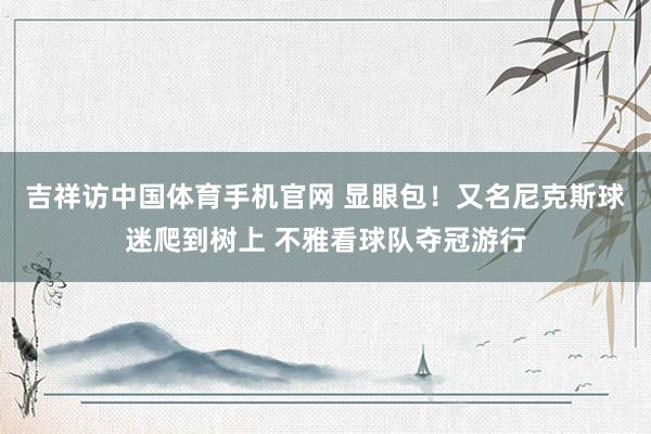 吉祥访中国体育手机官网 显眼包!又名尼克斯球迷爬到树上 不雅看球队夺冠游行